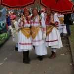 HKZ Mainz počasno mjesto u Rosenmontagszugu, generalnom konzulu Duvnjaku Orden Grada Mainza