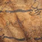 U torbi pronađene dječje kosti, policija nudi nagradu svjedocima