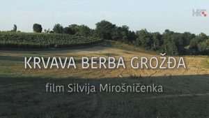 Krvava berba grožđa