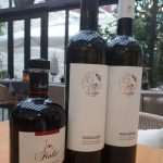 Vina Fiolić iz Zadra i ove godine dominirala na Sabatini 2017. i osvojila ukupno 7 zlatnih medalja Vina Fiolić iz Zadra i ove godine dominirala na Sabatini 2017. i osvojila ukupno 7 zlatnih medalja