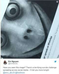 momo 1