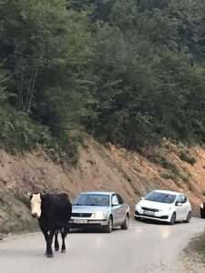 albanija  (6)