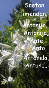 Sv. Ante