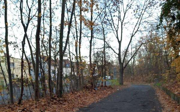 park