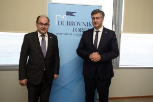 PLENKOVIĆ: Ako postoji jedna tema gdje se slažem s Milanovićem, onda je to pitanje ravnopravnosti Hrvata u BiH