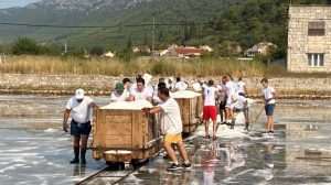 (FOTO I VIDEO) SPASILI 60 TONA SOLI: Rukometaši RKHM Dubrovnik odazvali se pozivu iz Stona za berbu soli