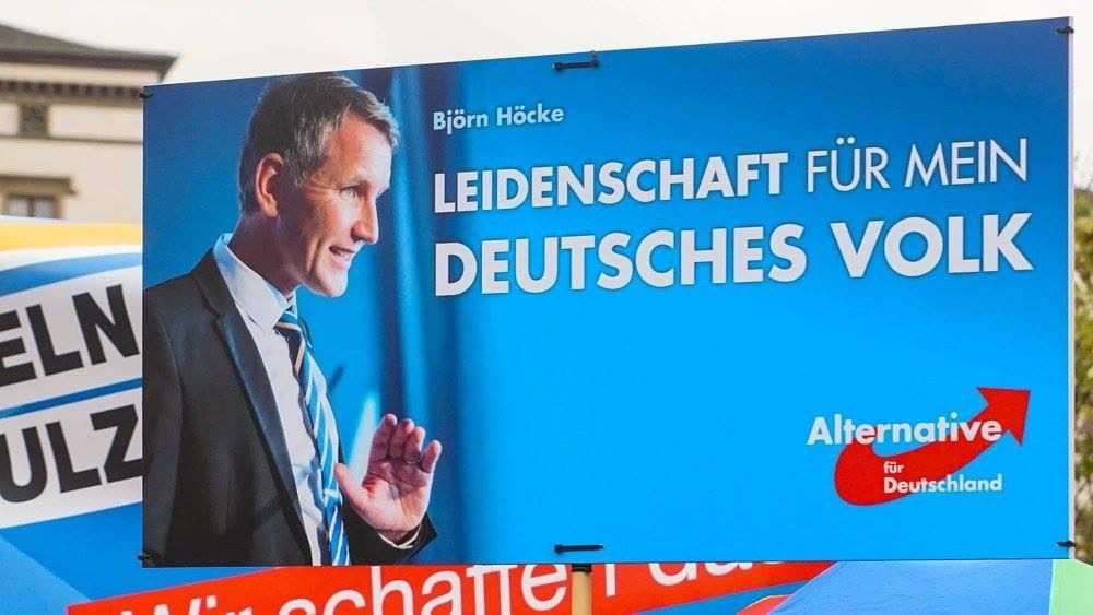 AfD-a (ILUSTRACIJA) / Foto: Fenix (Krešimir Kobanović)