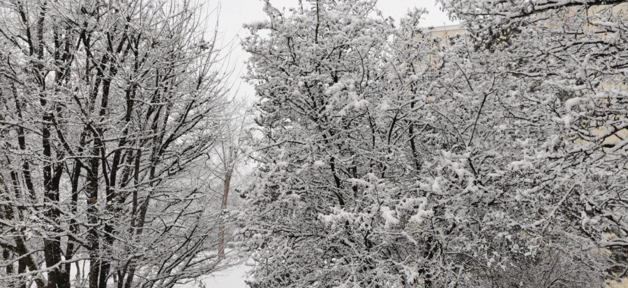 (FOTO) Snijeg zabijelio njemački grad u kojem živi oko 3.000 Hrvata (FOTO) Snijeg zabijelio njemački grad u kojem živi oko 3.000 Hrvata