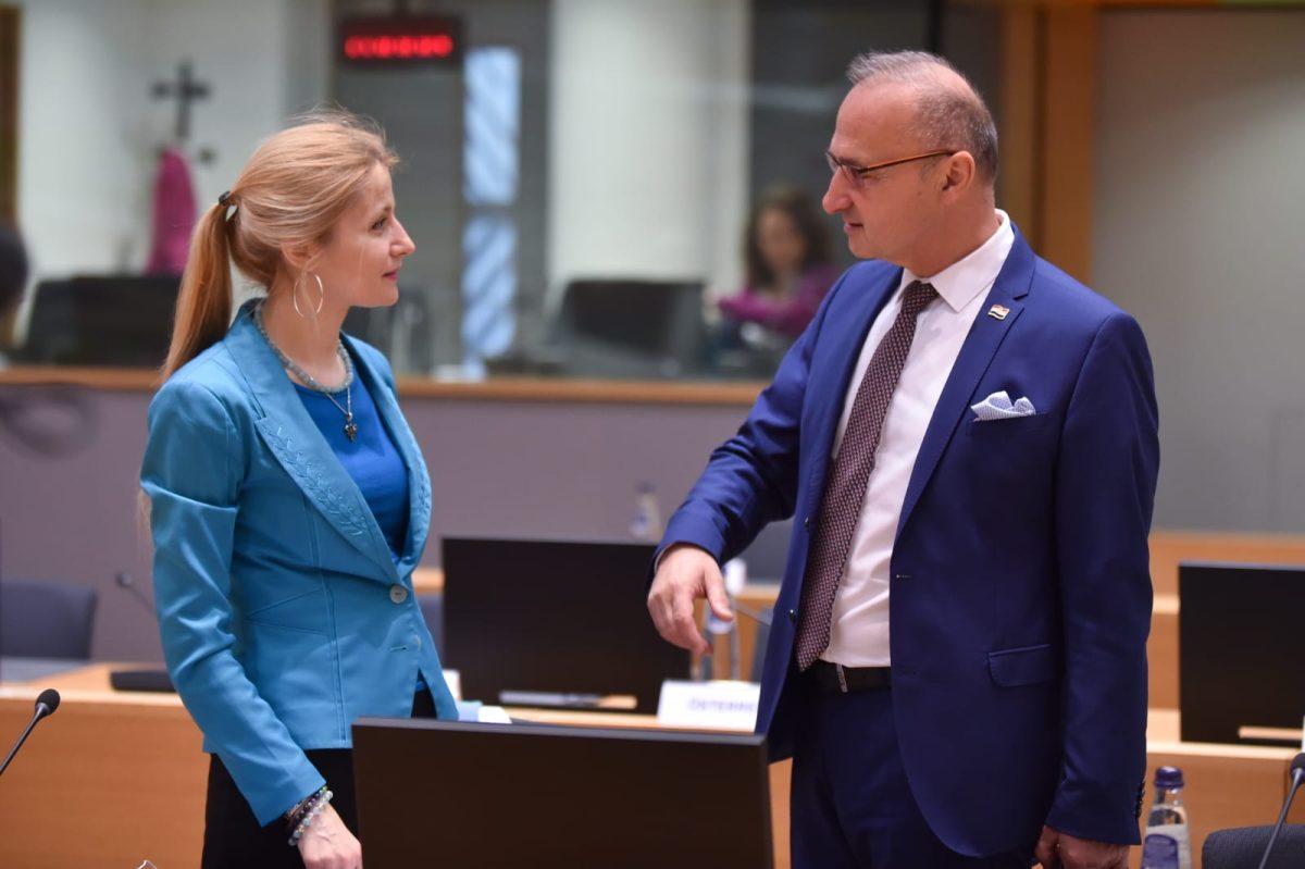 GRLIĆ RADMAN: Još jednom pokušati promijeniti izborni zakon u BiH