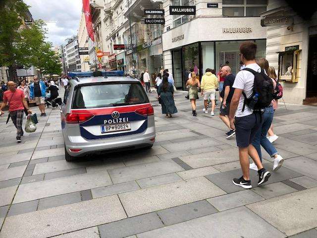 Austrijska policija (ILUSTRACIJA) / Foto: Fenix (Dora Puđa)