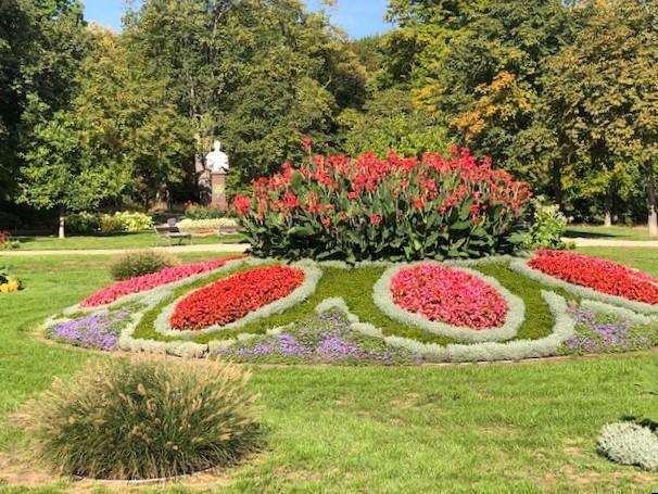 cvijece park