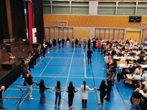 Festa Posavine Basel