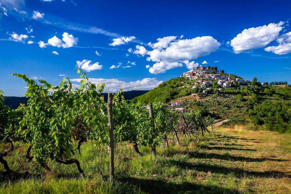DÜSSELDORF: Vinari iz najvažnije hrvatske vinske regije predstavljaju se na sajmu Prowein DÜSSELDORF: Vinari iz najvažnije hrvatske vinske regije predstavljaju se na sajmu Prowein