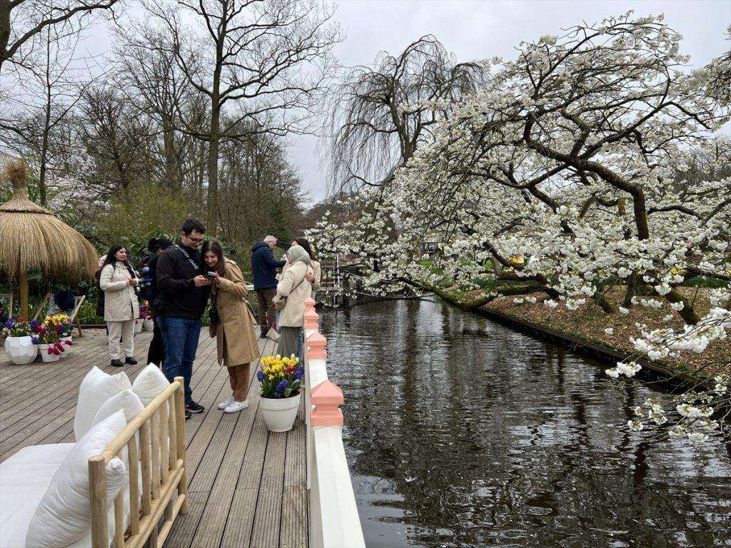 Park tulipana