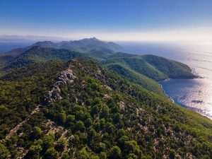 Mljet šume / Foto: Dejan Ban, BD-Light media