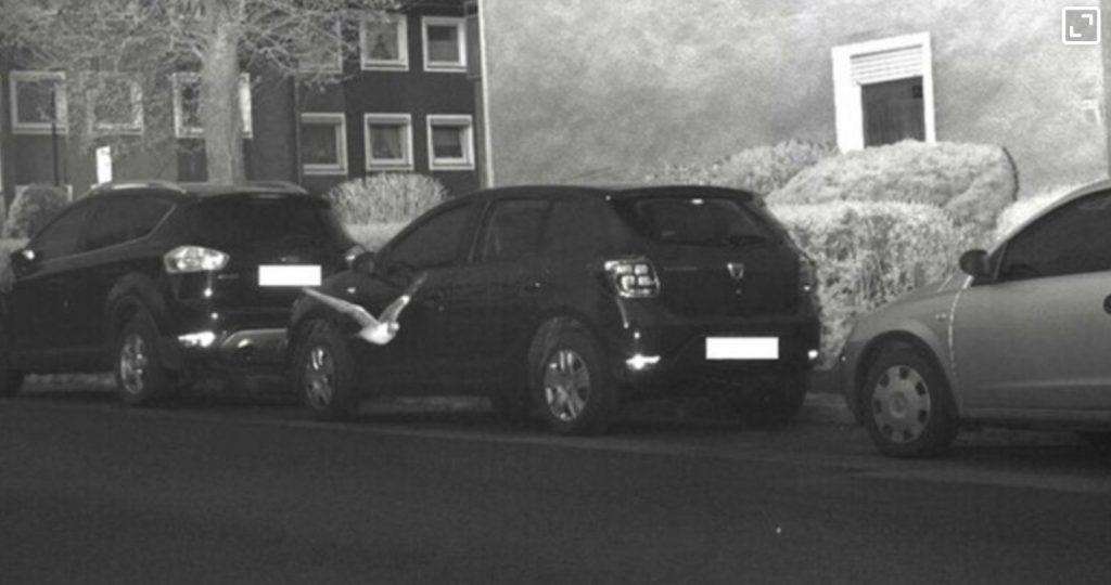 Nadzorna kamera snimila goluba/ Foto: Fenix (Policija Hagen)