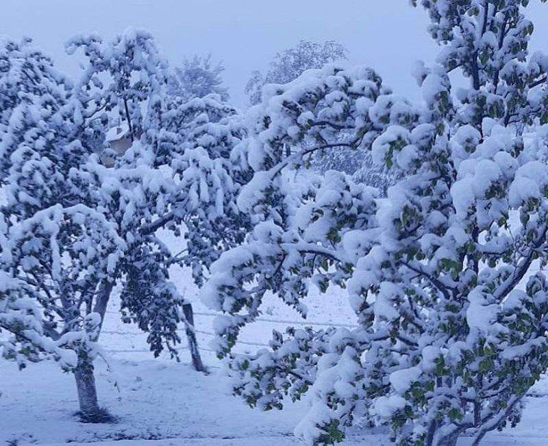 Snijeg (ILUSTRACIJA) / Foto: Fenix (SIM)