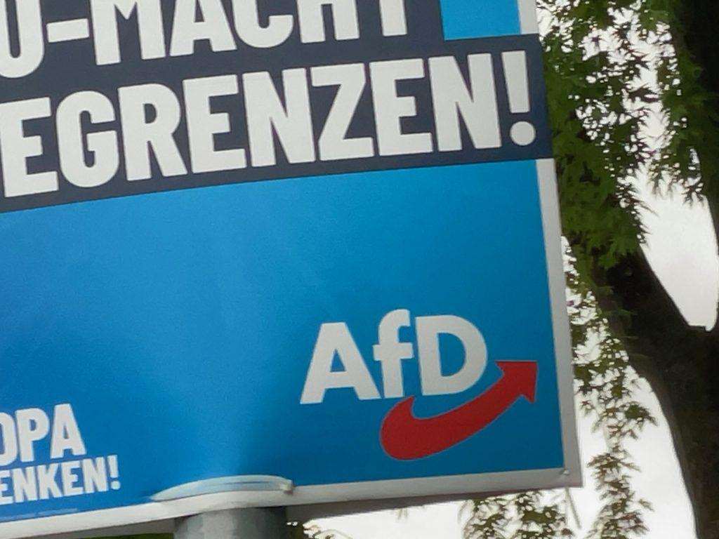 Plakat AfD-a (ILUSTRACIJA)/ Foto: Fenix (SC)