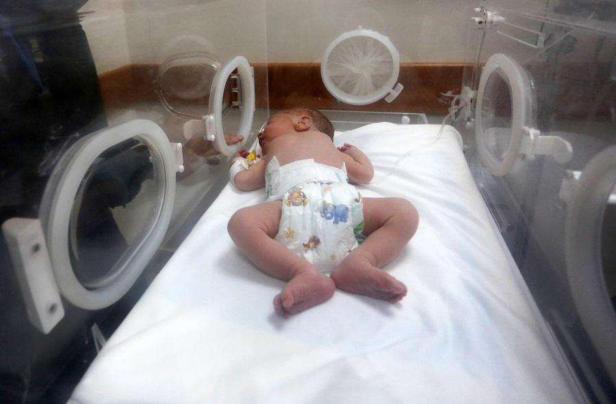 Beba / Foto: Anadolu