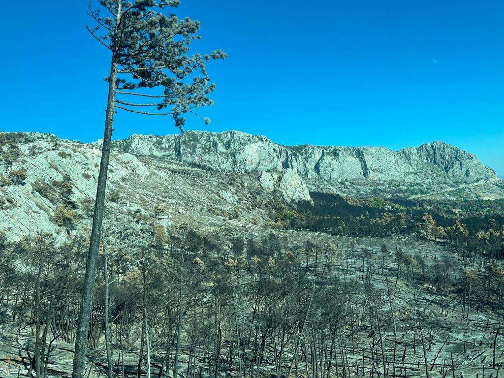 MJESTO VRIJEDNO TIŠINE: Velik broj Hrvata iz iseljeništva posjećuje ovo nevjerojatno mjesto Biokovo / Foto: Fenix (MD)