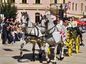 BOGATSTVO TRADICIJE U SRCU VINKOVACA: Predstavile se i hrvatske folklorne skupine iz Njemačke, Austrije, Švicarske... Vinkovačke jesni / Foto: Fenix (MT)