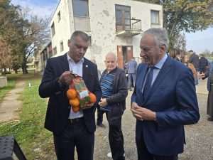 PRIJATELJSTVO KRAJNJEG JUGA I ISTOKA HRVATSKE: Kamion s 10 tona mandarina iz Dubrovačko-neretvanske županije stigao u Vukovar Mandarine je simbolično Franji Oreškoviću (lijevo) predao dubrovačko-neretvanski župan Nikola Dobroslavić (desno) / Foto: Fenix (SIM)