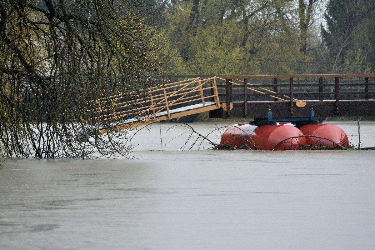Nabujala rijeka (ILUSTRACIJA)/ Foto: Hina