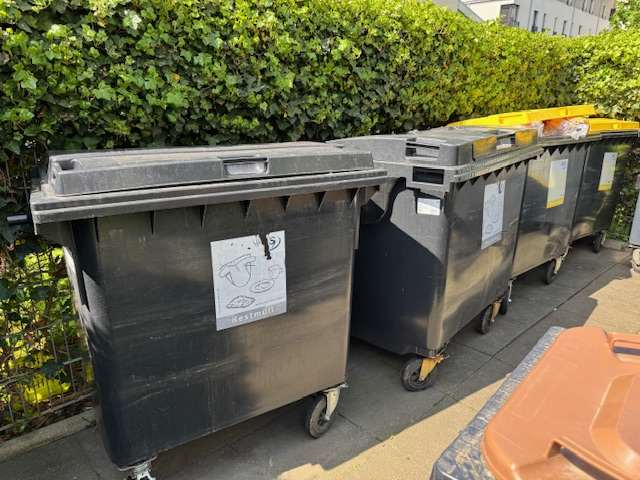 Kanta za smeće (ILUSTRACIJA)/Foto: Fenix (D.P.)