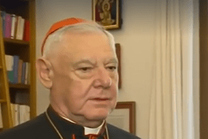 Njemački kardinal rodom iz Mainza Gerhard Ludwig Müller / Foto: Preslik FM