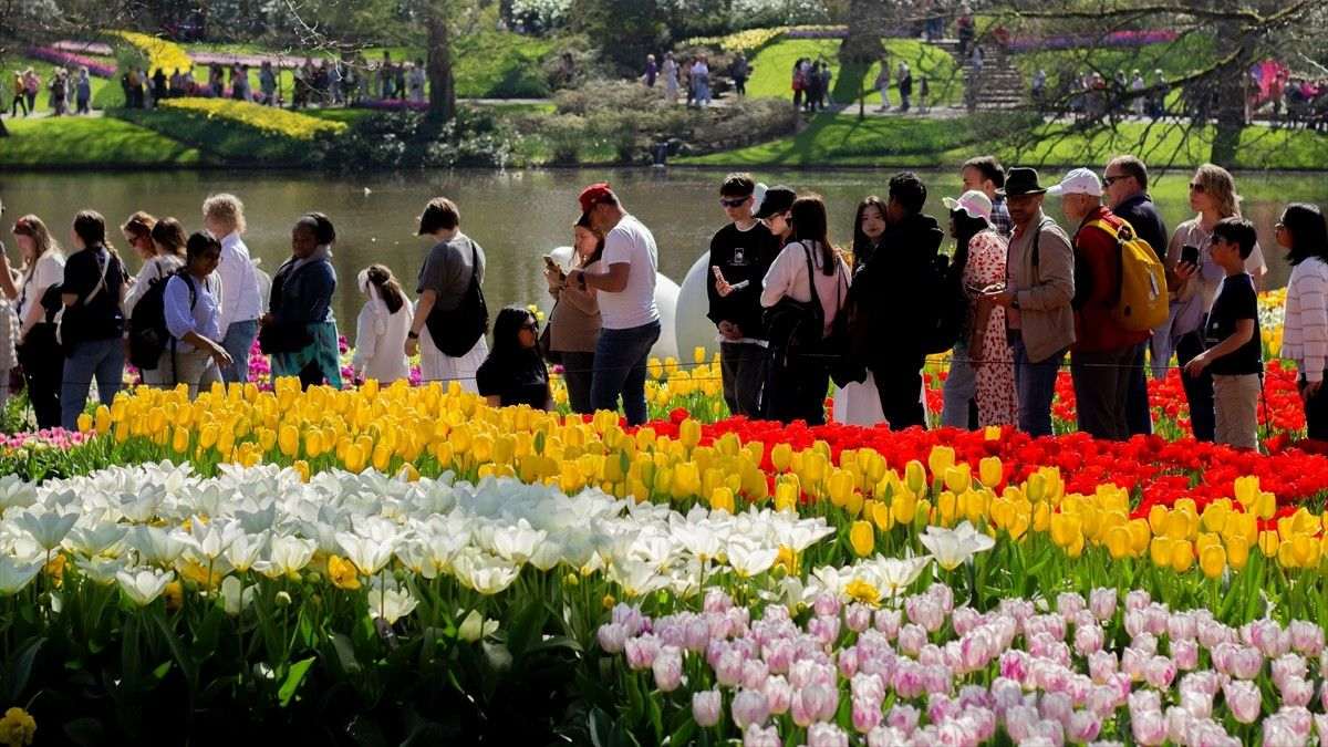 „NAJLJEPŠI VRT TULIPANA NA SVIJETU“: Nizozemski Keukenhof po 76. put otvorio vrata za posjetitelje  