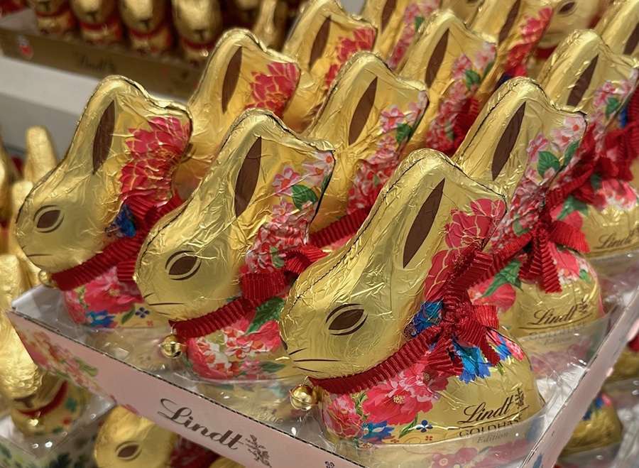 Čokoladni zeko (ILUSTRACIJA) / Foto: Fenix (SIM)