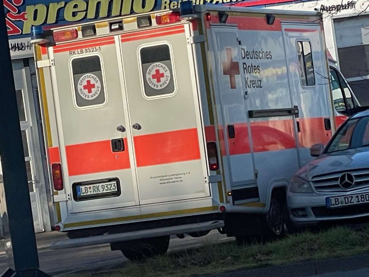 Hitna pomoć (ILUSTRACIJA)/ Foto: Fenix (SC)