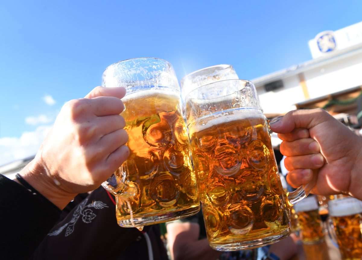 Besucher stoßen auf dem Oktoberfest mit Maßkrügen voller Bier an / Foto: Felix Hörhager/dpa