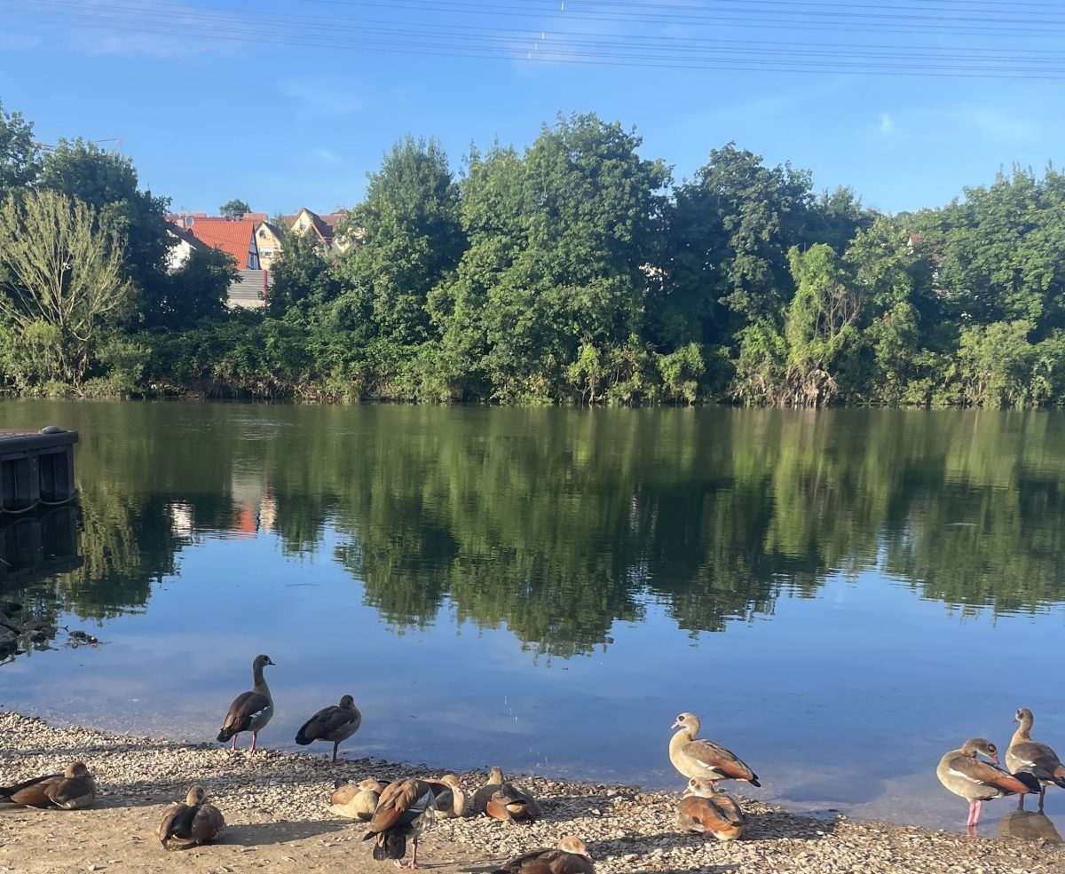 Jezero (ILUSTRACIJA)/ Foto: Fenix (SC)