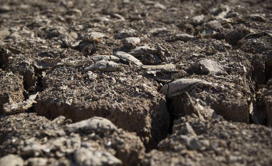 KLIMATSKI EKSTREMI: Jezero presušilo zbog suše i ekstremnih vrućina Presušilo jezero u Turskoj / Foto: Anadolu