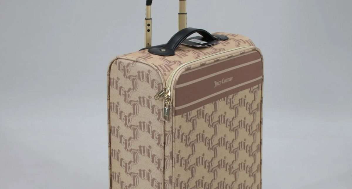 Kufer u kojem je pronađena ubijena žena /Foto: Policija Reutlingen