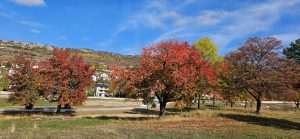 KAKO IZGLEDA JESEN U LIVNU? Pogledajte kroz objektiv fra Marijana Karaule