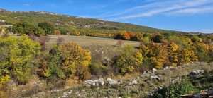 KAKO IZGLEDA JESEN U LIVNU? Pogledajte kroz objektiv fra Marijana Karaule