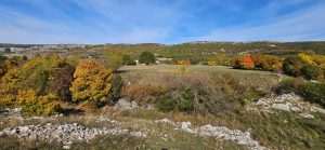 KAKO IZGLEDA JESEN U LIVNU? Pogledajte kroz objektiv fra Marijana Karaule