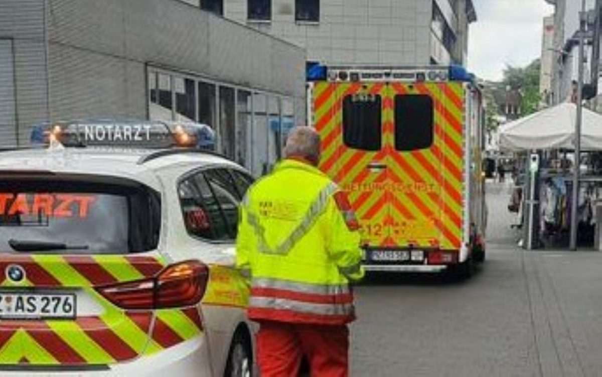 Vozilo hitne pomoći / Foto: Fenix (MD)