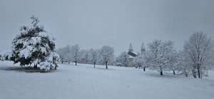 ZIMA U SVOJOJ LJEPOTI: Fra Marijan Karaula zabilježio nezaboravne kadrove Livna