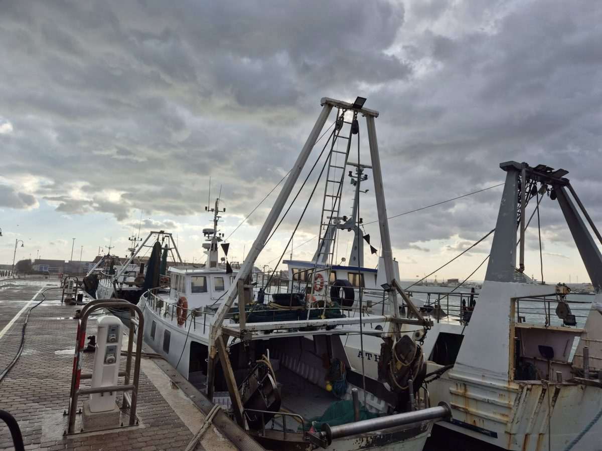 Luka u Termoliju / Foto: Fenix (MD)