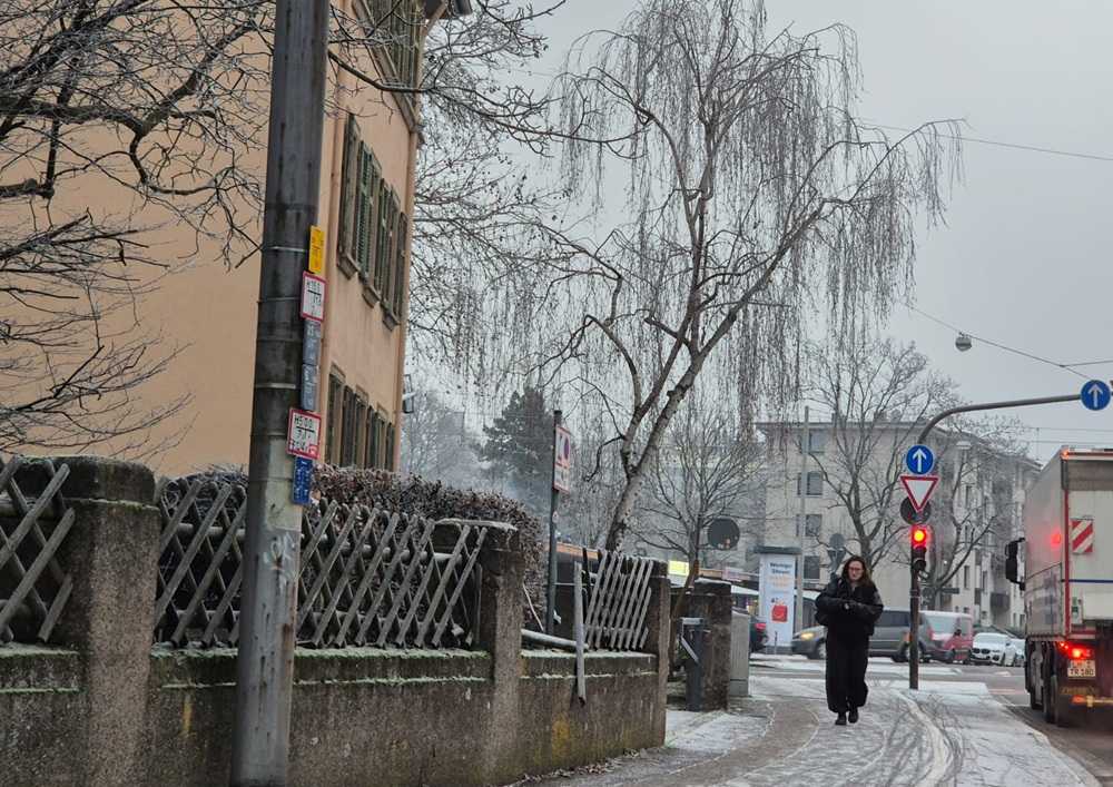Hladno vrijeme u Njemačkoj / Foto: Fenix (MD)