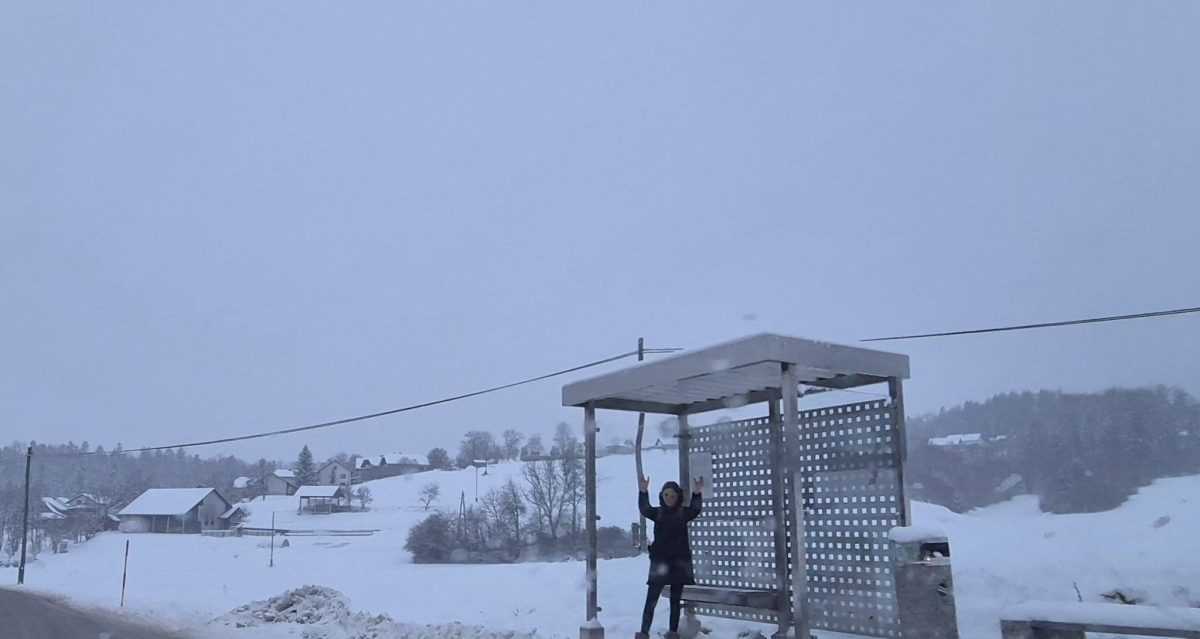 Snijeg (Ilustracija) / Foto: Fenix (MD)