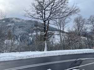 Snijeg (ILUSTRACIJA)/ Foto: Fenix (SC)