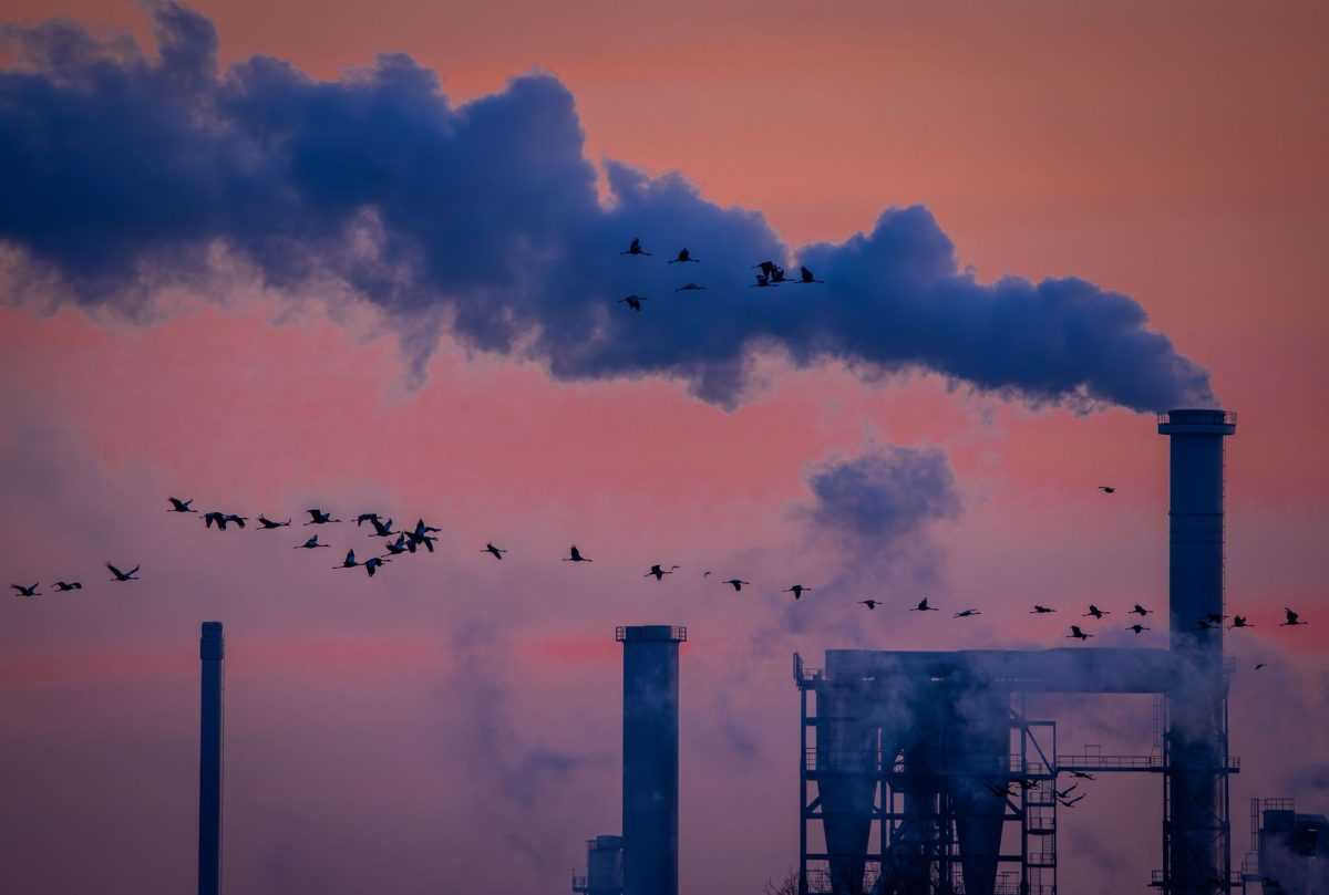 Industrija / Foto: Jens Büttner/dpa