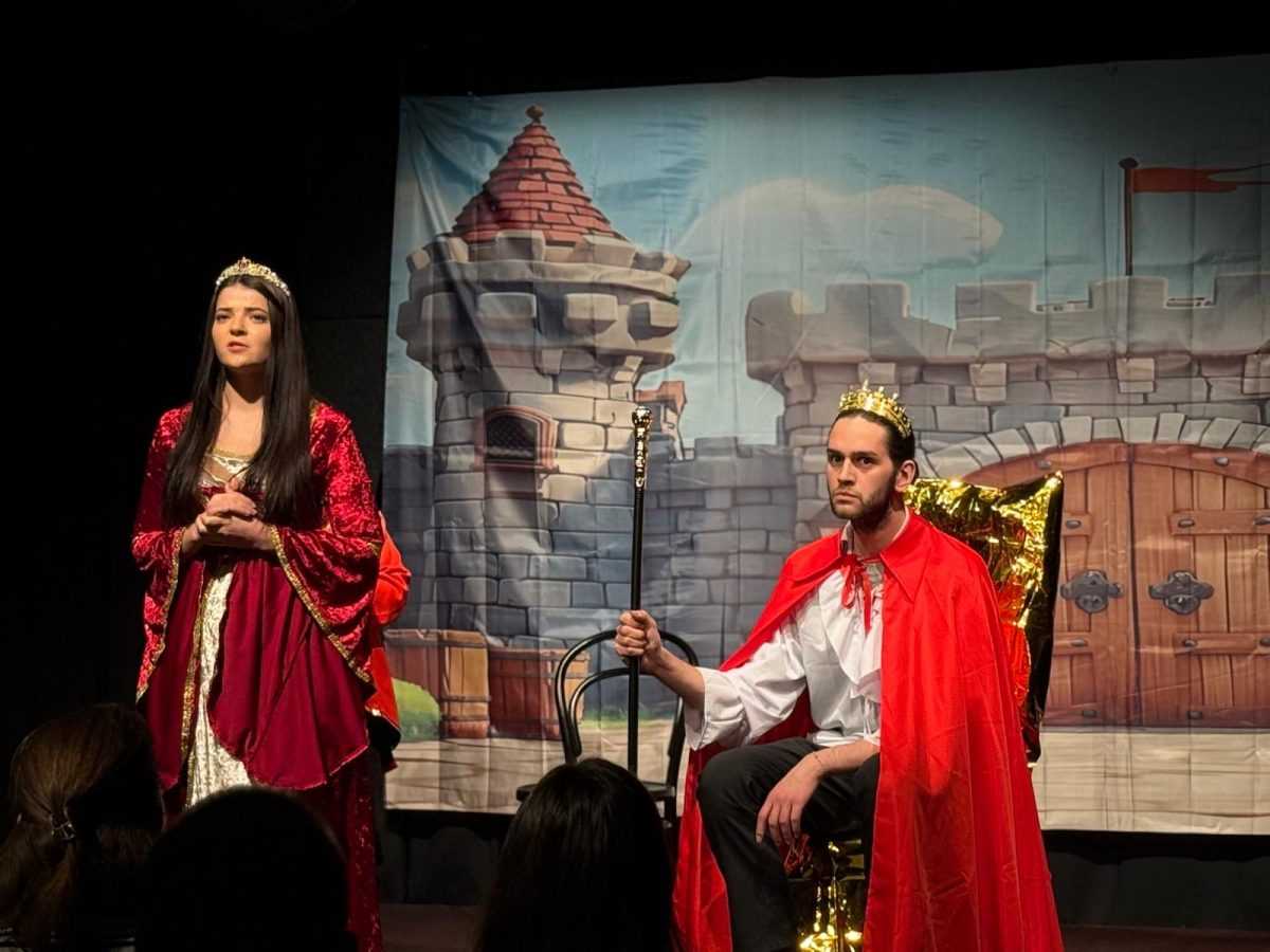 BAJKA O VIOLONČELU: Nova predstava kazališta Maska iz Münchena oduševila djecu