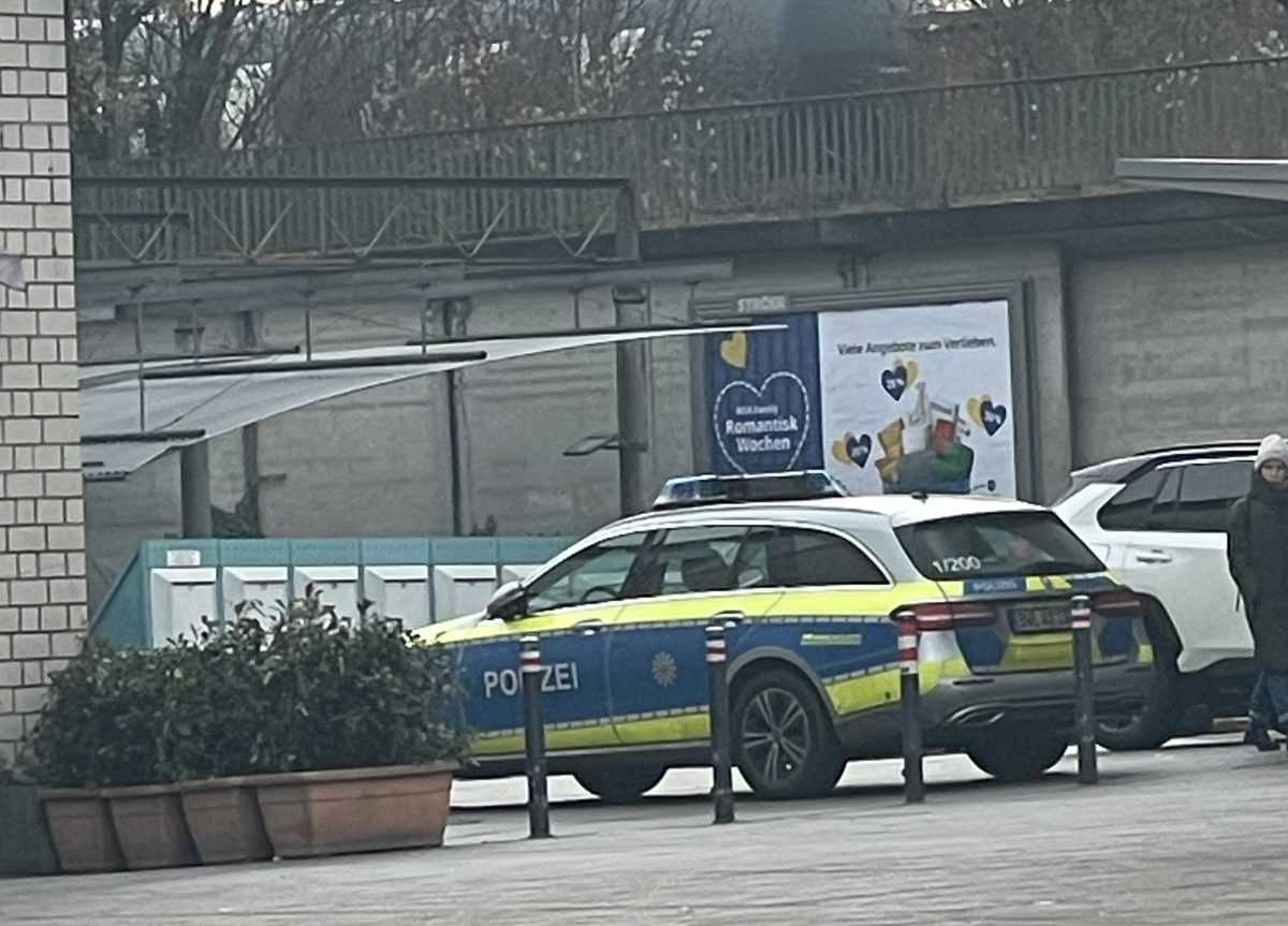 Policijsko vozilo (ILUSTRACIJA) / Foto: Fenix (SC)