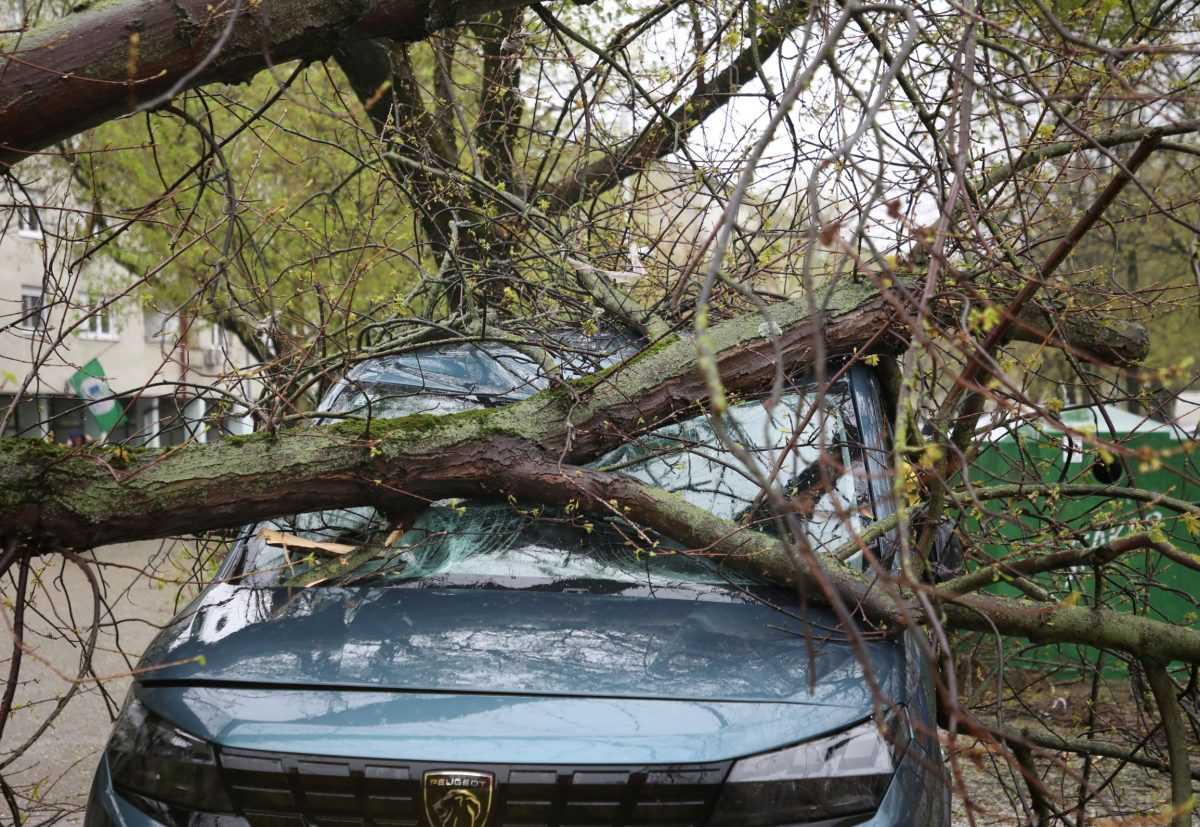 Nevrijeme u Zagrebu / Foto: Hina