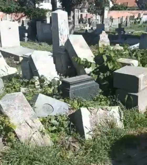 „FRAGMENT O RELIKTU KRAHA“: Katastrofalno stanje katoličkog groblja u Novom Sadu  